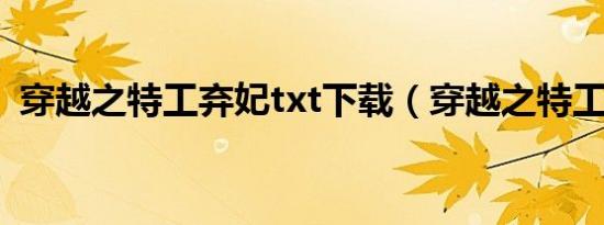穿越之特工弃妃txt下载（穿越之特工弃妃）