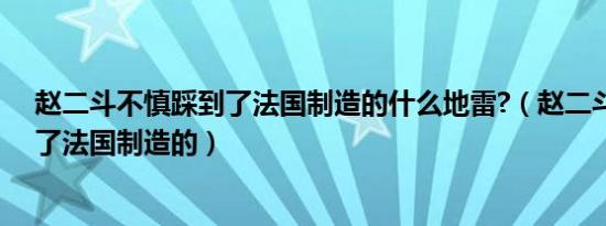 赵二斗不慎踩到了法国制造的什么地雷?（赵二斗不慎踩到了法国制造的）