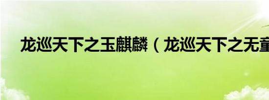 龙巡天下之玉麒麟（龙巡天下之无童镇）