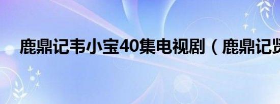 鹿鼎记韦小宝40集电视剧（鹿鼎记贤士）
