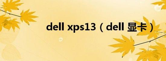 dell xps13（dell 显卡）