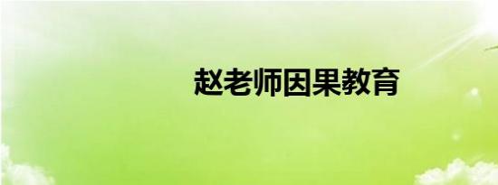 赵老师因果教育