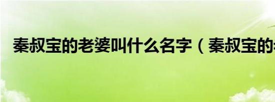 秦叔宝的老婆叫什么名字（秦叔宝的老婆）