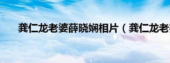 龚仁龙老婆薛晓娴相片（龚仁龙老婆）