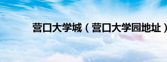 营口大学城（营口大学园地址）