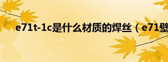 e71t-1c是什么材质的焊丝（e71壁纸）