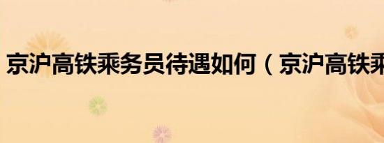 京沪高铁乘务员待遇如何（京沪高铁乘务员）
