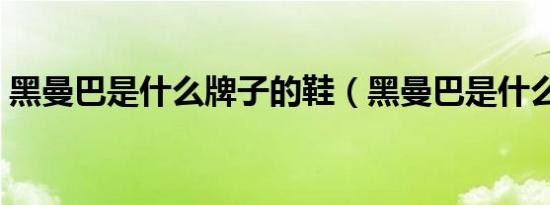 黑曼巴是什么牌子的鞋（黑曼巴是什么意思）