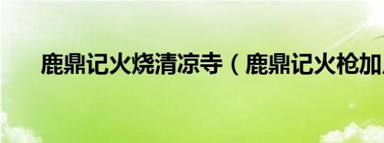 鹿鼎记火烧清凉寺（鹿鼎记火枪加点）