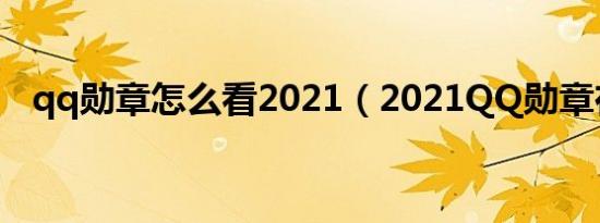 qq勋章怎么看2021（2021QQ勋章在哪）