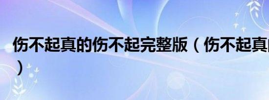 伤不起真的伤不起完整版（伤不起真的伤不起）