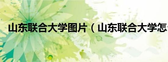 山东联合大学图片（山东联合大学怎么样）