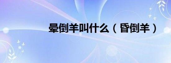 晕倒羊叫什么（昏倒羊）