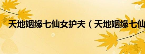 天地姻缘七仙女护夫（天地姻缘七仙女1）