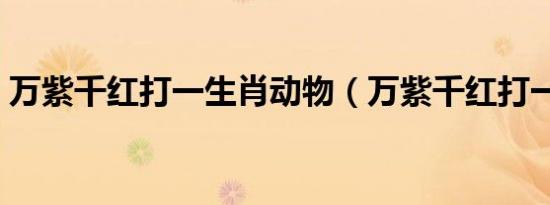 万紫千红打一生肖动物（万紫千红打一生肖）