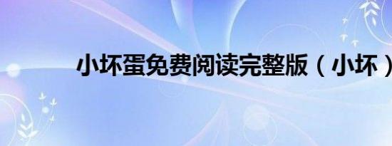 小坏蛋免费阅读完整版（小坏）