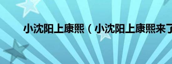 小沈阳上康熙（小沈阳上康熙来了）