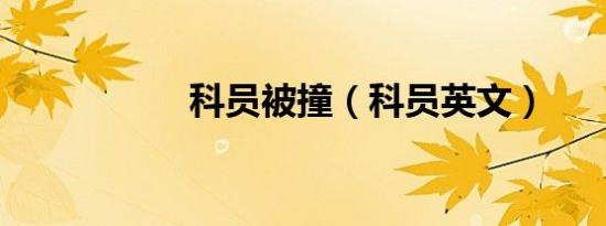 科员被撞（科员英文）