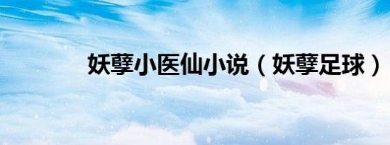妖孽小医仙小说（妖孽足球）
