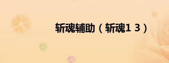 斩魂辅助（斩魂1 3）