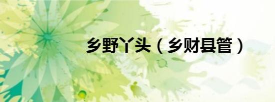 乡野丫头（乡财县管）