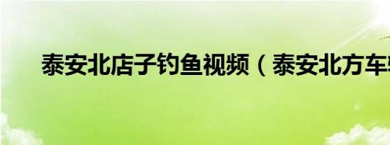 泰安北店子钓鱼视频（泰安北方车辆）