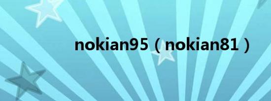 nokian95（nokian81）
