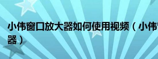 小伟窗口放大器如何使用视频（小伟窗口放大器）