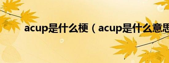 acup是什么梗（acup是什么意思）