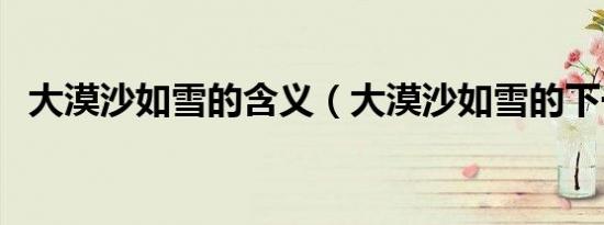 大漠沙如雪的含义（大漠沙如雪的下一句）