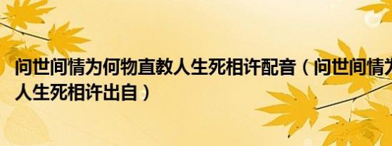 问世间情为何物直教人生死相许配音（问世间情为何物 直教人生死相许出自）