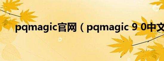pqmagic官网（pqmagic 9 0中文版）