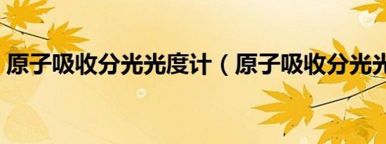 原子吸收分光光度计（原子吸收分光光度计）