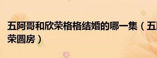 五阿哥和欣荣格格结婚的哪一集（五阿哥和欣荣圆房）