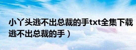 小丫头逃不出总裁的手txt全集下载（小丫头逃不出总裁的手）