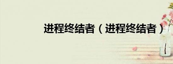 进程终结者（进程终结者）