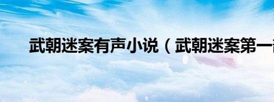 武朝迷案有声小说（武朝迷案第一部）