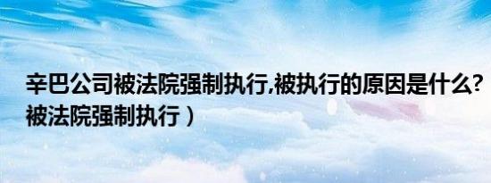 辛巴公司被法院强制执行,被执行的原因是什么?（辛巴公司被法院强制执行）