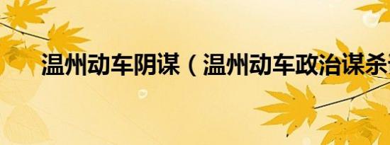 温州动车阴谋（温州动车政治谋杀谁）