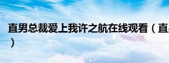 直男总裁爱上我许之航在线观看（直男总动员）