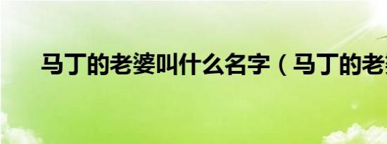 马丁的老婆叫什么名字（马丁的老婆）