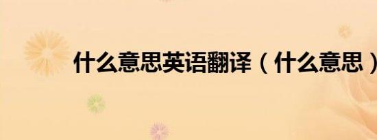 什么意思英语翻译（什么意思）
