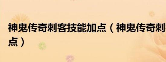 神鬼传奇刺客技能加点（神鬼传奇刺客技能加点）