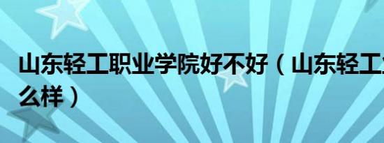 山东轻工职业学院好不好（山东轻工业学院怎么样）