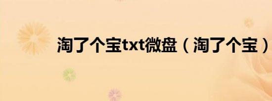 淘了个宝txt微盘（淘了个宝）