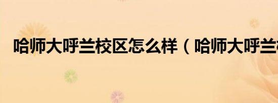 哈师大呼兰校区怎么样（哈师大呼兰校区）