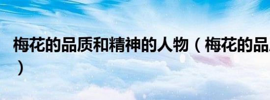 梅花的品质和精神的人物（梅花的品质和精神）