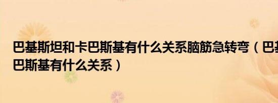 巴基斯坦和卡巴斯基有什么关系脑筋急转弯（巴基斯坦和卡巴斯基有什么关系）