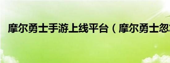 摩尔勇士手游上线平台（摩尔勇士忽悠猫）