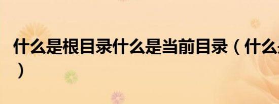 什么是根目录什么是当前目录（什么是根目录）